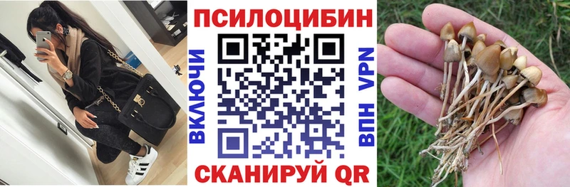 Купить где  Тавда  Галлюциногенные грибы прущие грибы 